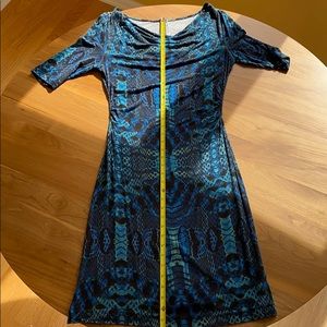 Robert Graham dress